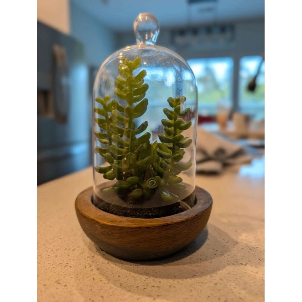 Mini Faux Succulent Glass Terrarium with Dark Wooden Base 7.5" Tall